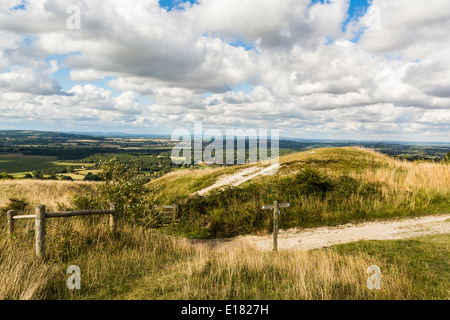 Der South Downs Way in der South Downs National Park bei Rackham Bank in der Nähe des Dorfes Amberley in West Sussex. Stockfoto