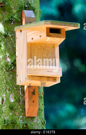 Vogelhäuschen an einem Baum im Wald, eine Holzkiste für nistende Vögel Stockfoto