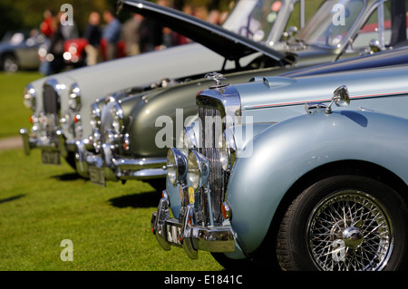 Oldtimer Line-up auf einer Wiese bei einer Sommer-show Stockfoto