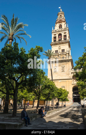 Der Patio de Los Naranjas, Orange Gericht und Alminar Tower, einst das Minarett der großen Moschee (La Mezquita), Cordoba, Spanien Stockfoto