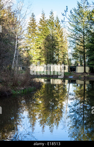 Woodland Lodges in Center Parcs Longleat Forest, Wiltshire, England, Vereinigtes Königreich. Stockfoto