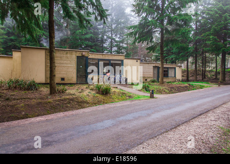 Woodland Lodges in Center Parcs Longleat Forest, Wiltshire, England, Vereinigtes Königreich. Stockfoto