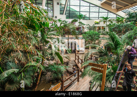 Das subtropische Plaza, Stockfoto