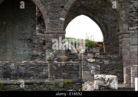 Ruinen der Zisterzienserabtei bei Baltinglass, Stockfoto