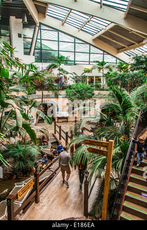 Die subtropischen Plaza, Center Parcs, Longleat, Wiltshire, England, Vereinigtes Königreich. Stockfoto