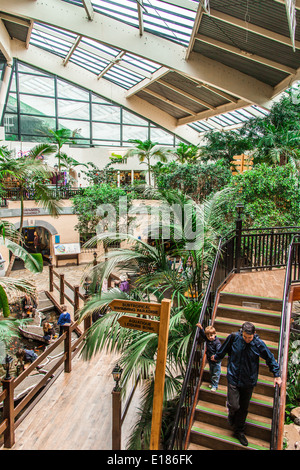 Die subtropischen Plaza, Center Parcs, Longleat, Wiltshire, England, Vereinigtes Königreich. Stockfoto