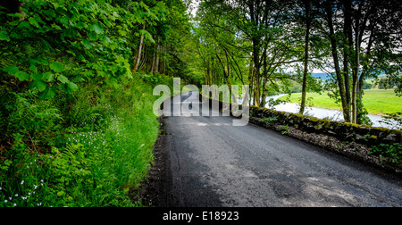 Straße entlang Cardrona Wald und dem Fluss Tweed in den Scottish Borders Stockfoto