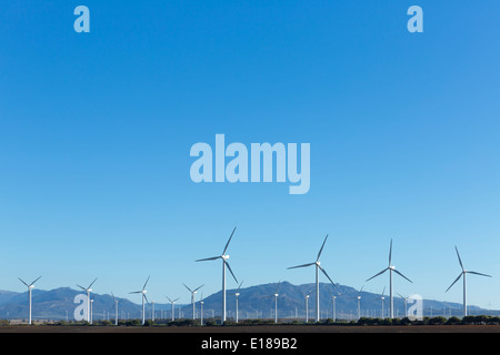 Windpark unter blauem Himmel Stockfoto