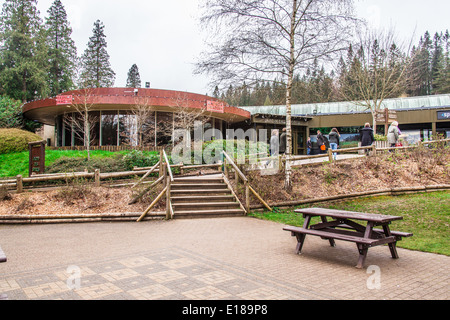 Jardin Des Sports bei Center Parcs Longleat Forest, Wiltshire, England, Vereinigtes Königreich. Stockfoto