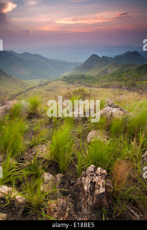 Tagesanbruch in Altos de Campana Nationalpark, Panama Provinz, Republik Panama. Stockfoto