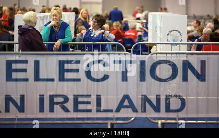 Belfast, Nordirland. 26. Mai 2014. Zählung des Beamten nehmen eine Pause während der Zählung in der Kings Hall Graf Mitte, Stockfoto