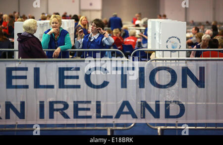 Belfast, Nordirland. 26. Mai 2014. Zählung des Beamten nehmen eine Pause während der Zählung in der Kings Hall Graf Mitte, Stockfoto