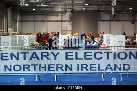 Belfast, Nordirland. 26. Mai 2014. Zählung des Beamten nehmen eine Pause während der Zählung in der Kings Hall Graf Mitte, Stockfoto