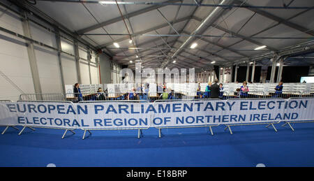 Belfast, Nordirland. 26. Mai 2014. Zählung des Beamten nehmen eine Pause während der Zählung in der Kings Hall Graf Mitte, Stockfoto