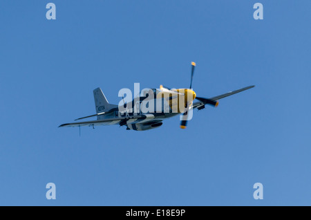 P51 Mustang Jagdflugzeug Stockfoto