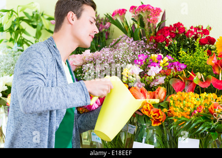 Floristen arbeiten im Blumengeschäft Pflanzen gießen Stockfoto