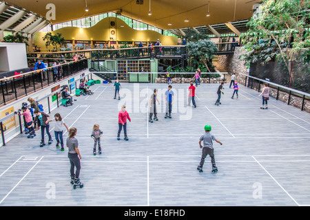 Jardin Des Sports bei Center Parcs Longleat Forest, Wiltshire, England, Vereinigtes Königreich. Stockfoto