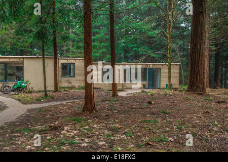 Woodland Lodges in Center Parcs Longleat Forest, Wiltshire, England, Vereinigtes Königreich. Stockfoto