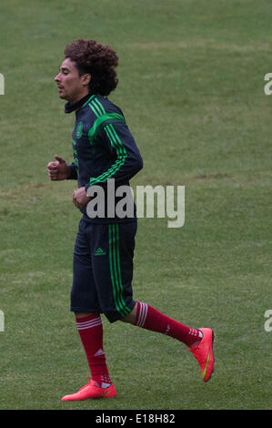 Mexico City, Mexiko. 26. Mai 2014. Mexikos nationale Fußball-Torhüter, Guillermo Ochoa, beteiligt sich an einer Trainingseinheit vor Brasilien 2014 FIFA World Cup, in Azteca-Stadion in Mexiko-Stadt, Hauptstadt von Mexiko, am 26. Mai 2014. Bildnachweis: Pedro Mera/Xinhua/Alamy Live-Nachrichten Stockfoto