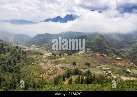 Pflanzung von Reisterrassen in den Bergen in der Nähe von Sapa Stockfoto
