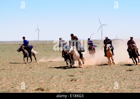 Bayannur, China autonomen Region Innere Mongolei. 27. Mai 2014. Hirten versuchen, die Pferde während eines Wettkampfes in Urad Front Banner von Bayannor, Nord-China autonomen Region Innere Mongolei, 27. Mai 2014 lasso. Bildnachweis: Zhi Maosheng/Xinhua/Alamy Live-Nachrichten Stockfoto