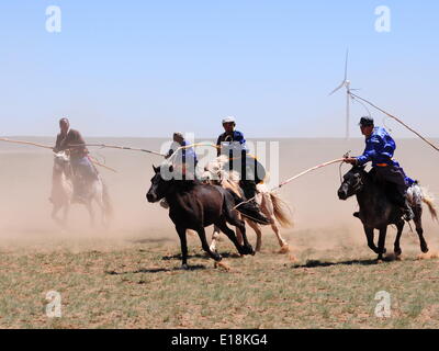Bayannur, China autonomen Region Innere Mongolei. 27. Mai 2014. Hirten versuchen, ein Pferd während eines Wettkampfes in Urad Front Banner von Bayannor, Nord-China autonomen Region Innere Mongolei, 27. Mai 2014 lasso. Bildnachweis: Zhi Maosheng/Xinhua/Alamy Live-Nachrichten Stockfoto
