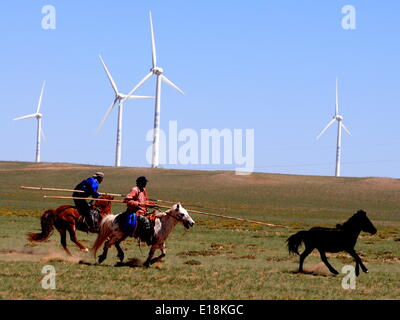 Bayannur, China autonomen Region Innere Mongolei. 27. Mai 2014. Hirten versuchen, ein Pferd während eines Wettkampfes in Urad Front Banner von Bayannor, Nord-China autonomen Region Innere Mongolei, 27. Mai 2014 lasso. Bildnachweis: Zhi Maosheng/Xinhua/Alamy Live-Nachrichten Stockfoto