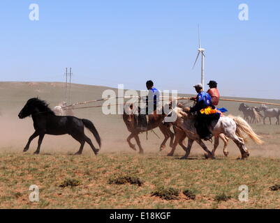 Bayannur, China autonomen Region Innere Mongolei. 27. Mai 2014. Hirten versuchen, ein Pferd während eines Wettkampfes in Urad Front Banner von Bayannor, Nord-China autonomen Region Innere Mongolei, 27. Mai 2014 lasso. Bildnachweis: Zhi Maosheng/Xinhua/Alamy Live-Nachrichten Stockfoto