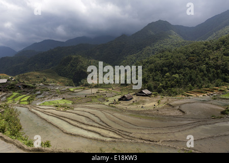 Pflanzung von Reisterrassen in den Bergen in der Nähe von Sapa Stockfoto