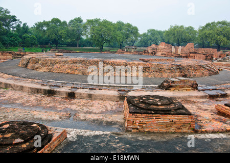 Sarnath Deer Park, buddhistisches Zentrum des Lernens, Dhamekh Stupa gebaut vom Mayryan Kaiser, in der Nähe von Varanasi, Benares, Uttar Pradesh, Indien Stockfoto