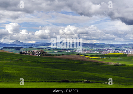 Navarra Felder in Spanien Stockfoto