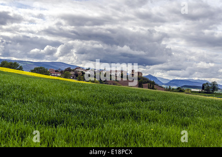 Navarra Felder in Spanien Stockfoto