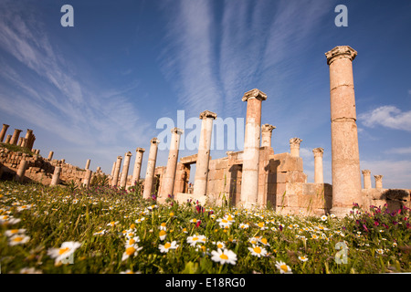 Ruinen des Forums in der römischen Stadt Gerasa in der Nähe von Jerash, Jordanien Stockfoto