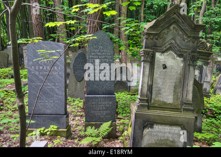 Grabsteine auf dem jüdischen Friedhof in Warschau, Polen Stockfoto