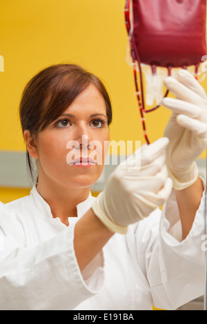 Eine Krankenschwester in Klinik Mit Blutkonserve. Infusion von Spenderblut. Stockfoto