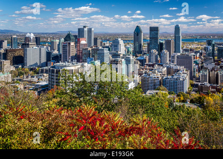 Die Skyline der Stadt mit Herbst Laub Farbe vom Mount Royal Park in Montreal, Quebec, Kanada. Stockfoto