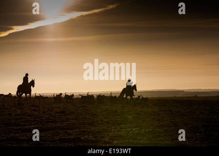 Jäger und Hunde, die Silhouette auf Hügel Stockfoto