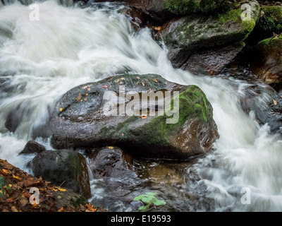 Ein Bach Mit Steinen Und Fliessendem Wasser. Landschaft Erleben in der Natur. Stockfoto