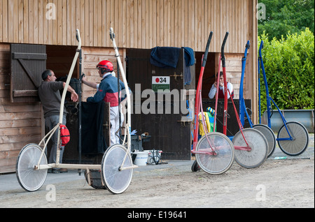 Pferd im Trab, Rennbahn Vire, Calvados, Normandie, Frankreich Stockfoto