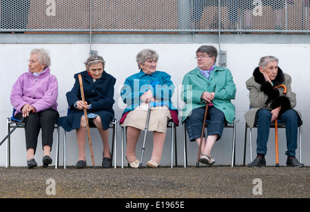 5 ältere Damen sitzen auf Sitze, Normandie, Frankreich Stockfoto
