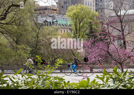 Radfahrer auf West fahren, das Metropolitan Museum of Art im Central Park, New York Stockfoto