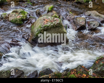 Ein Bach Mit Steinen Und Fliessendem Wasser. Landschaft Erleben in der Natur. Stockfoto