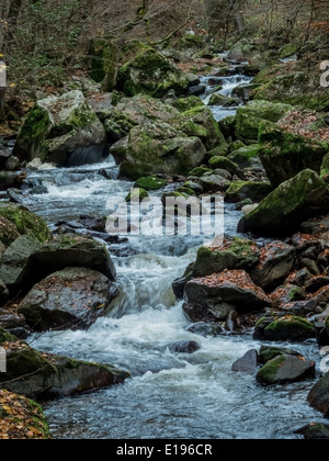 Ein Bach Mit Steinen Und Fliessendem Wasser. Landschaft Erleben in der Natur. Stockfoto