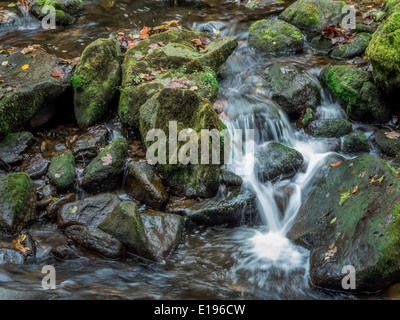 Ein Bach Mit Steinen Und Fliessendem Wasser. Landschaft Erleben in der Natur. Stockfoto