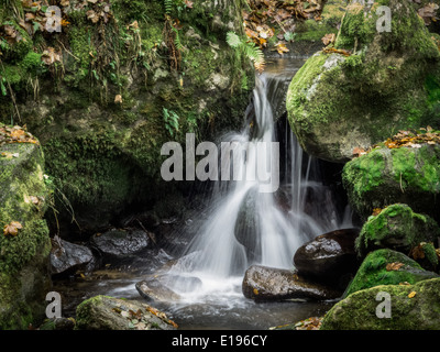 Ein Bach Mit Steinen Und Fliessendem Wasser. Landschaft Erleben in der Natur. Stockfoto