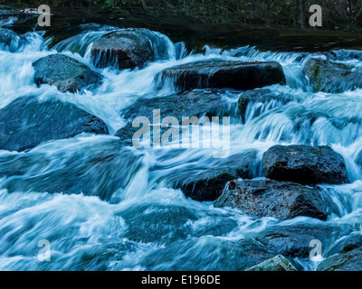 Ein Bach Mit Steinen Und Fliessendem Wasser. Landschaft Erleben in der Natur. Stockfoto