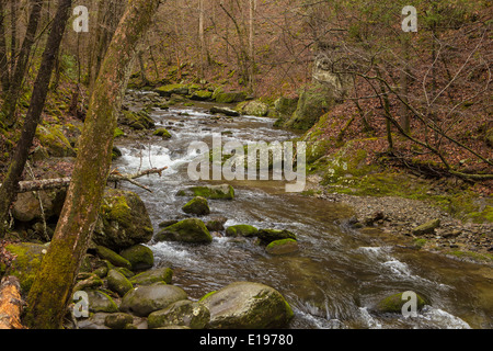 Abgebildet ist der kleine Fluss von alten State Highway 73 im Nationalpark Great Smoky Mountains in Tennessee Stockfoto