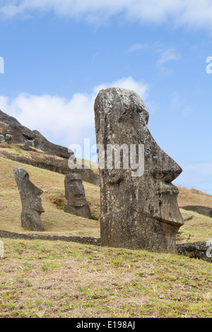 Statuen geschnitzt aus vulkanischen Tuff-Felsen am Steinbruch am Hang des Rano Raraku, eines erloschenen Vulkans Osterinsel Moai genannt, Stockfoto