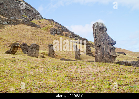 Statuen geschnitzt aus vulkanischen Tuff-Felsen am Steinbruch am Hang des Rano Raraku, eines erloschenen Vulkans Osterinsel Moai genannt Stockfoto