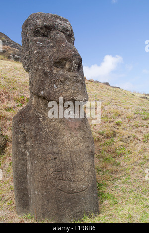 Moai oder Statue namens Ko Kona er Roa aus vulkanischem Tuffstein am Steinbruch am Hang des Rano Raraku geschnitzt Stockfoto